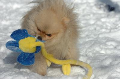 Dec9_05_0674.JPG