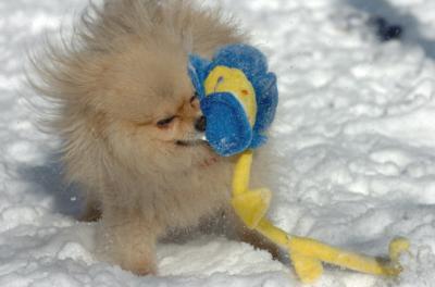Dec9_05_0675.JPG