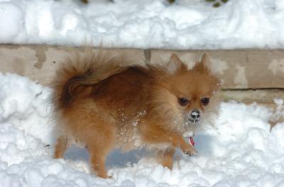 Dec9_05_0676.JPG