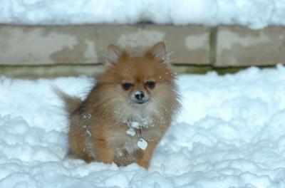 Dec9_05_0678.JPG
