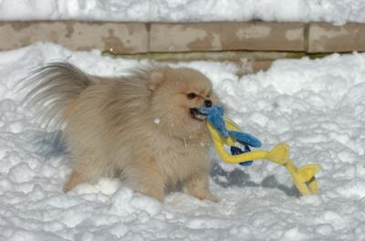 Dec9_05_0679.JPG
