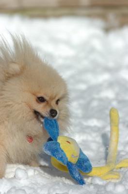Dec9_05_0681.JPG