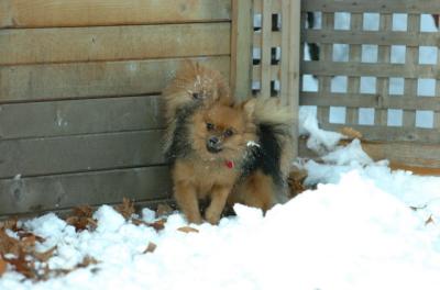 Dec9_05_0688.JPG