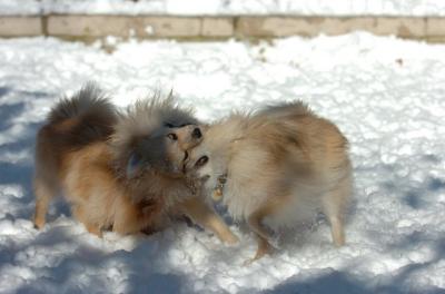 Dec9_05_0690.JPG