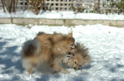Dec9_05_0691.JPG