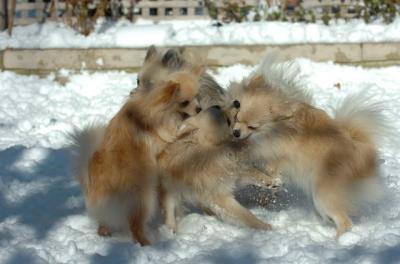 Dec9_05_0692.JPG
