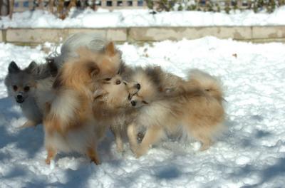 Dec9_05_0693.JPG