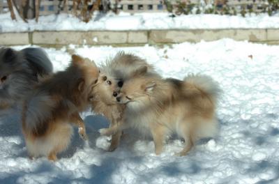 Dec9_05_0695.JPG