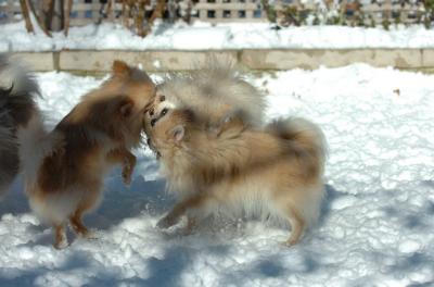 Dec9_05_0696.JPG