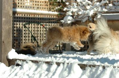 Dec9_05_0697.JPG