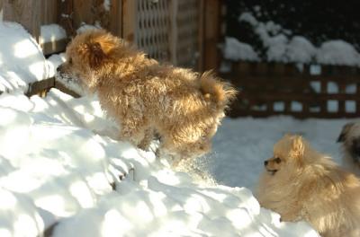 Dec9_05_0700.jpg
