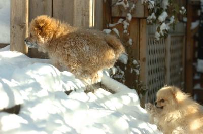 Dec9_05_0702.JPG