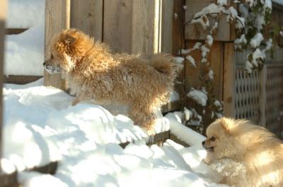 Dec9_05_0703.JPG