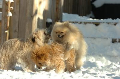 Dec9_05_0705.JPG