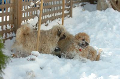 Dec9_05_0707.JPG