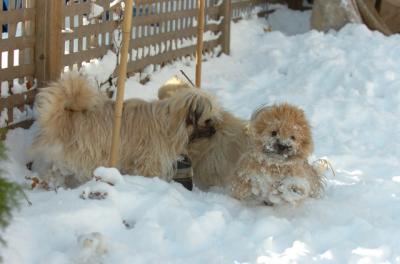 Dec9_05_0708.JPG