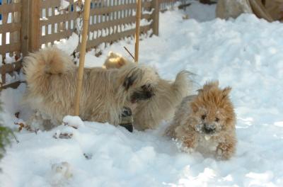Dec9_05_0709.JPG