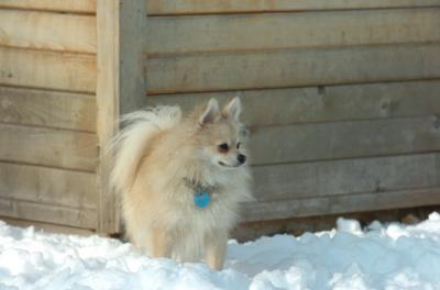 Dec9_05_0710.JPG