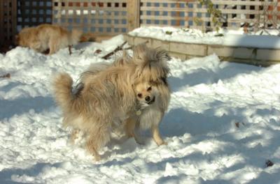 Dec9_05_0712.JPG