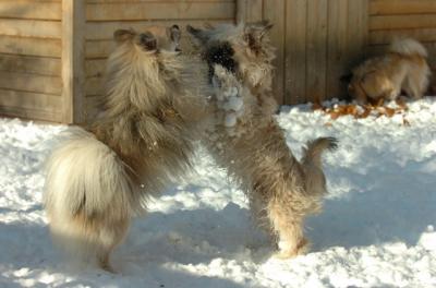 Dec9_05_0714.JPG