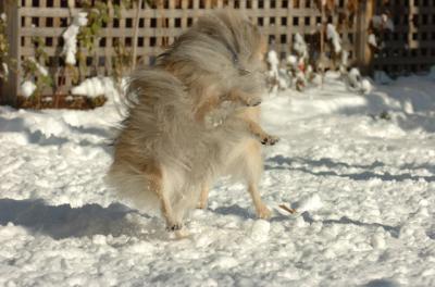 Dec9_05_0715.JPG