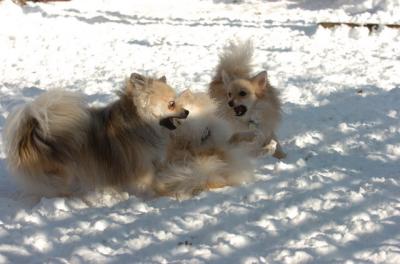 Dec9_05_0718.JPG