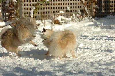 Dec9_05_0719.JPG