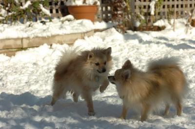 Dec9_05_0720.JPG