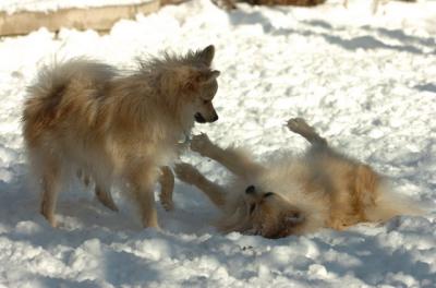 Dec9_05_0725.JPG