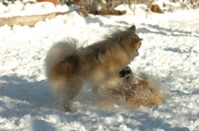Dec9_05_0726.JPG