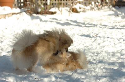 Dec9_05_0727.JPG
