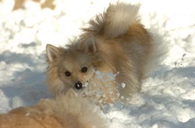 Dec9_05_0729.JPG