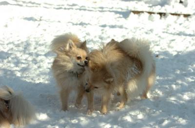 Dec9_05_0734.JPG