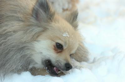 Dec9_05_0735.JPG