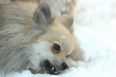 Dec9_05_0736.JPG