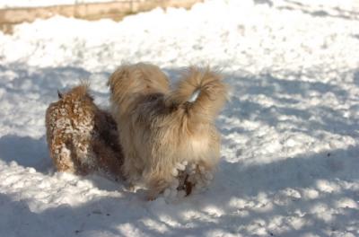 Dec9_05_0737.JPG