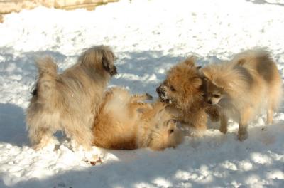 Dec9_05_0738.JPG