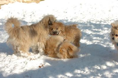 Dec9_05_0740.JPG
