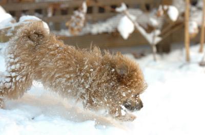 Dec9_05_0743.JPG