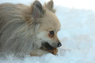 Dec9_05_0744.JPG