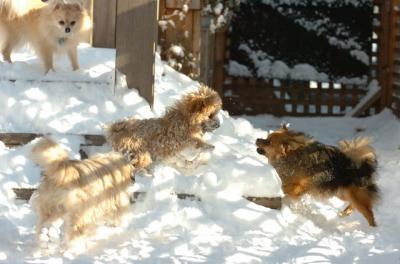Dec9_05_0746.JPG