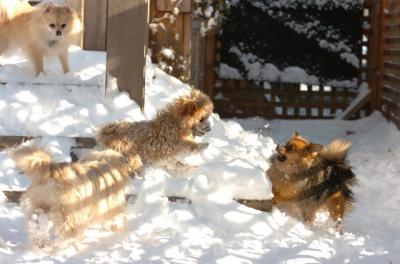 Dec9_05_0747.JPG