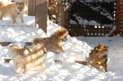 Dec9_05_0748.JPG