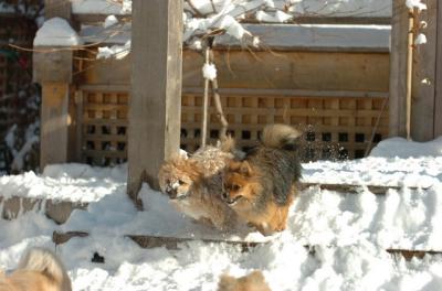 Dec9_05_0756.JPG