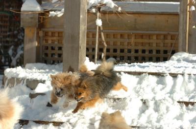Dec9_05_0757.JPG