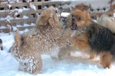 Dec9_05_0762.JPG