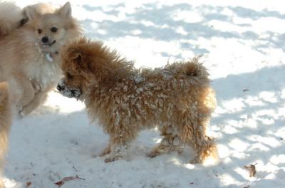 Dec9_05_0765.JPG