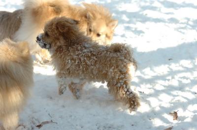 Dec9_05_0766.JPG