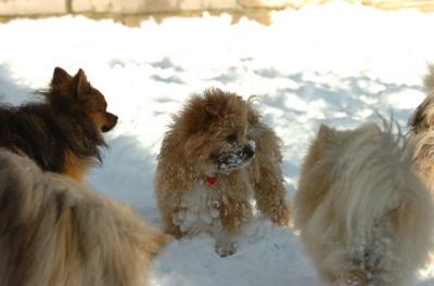 Dec9_05_0767.JPG