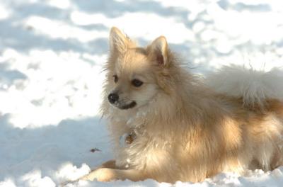 Dec9_05_0768.JPG